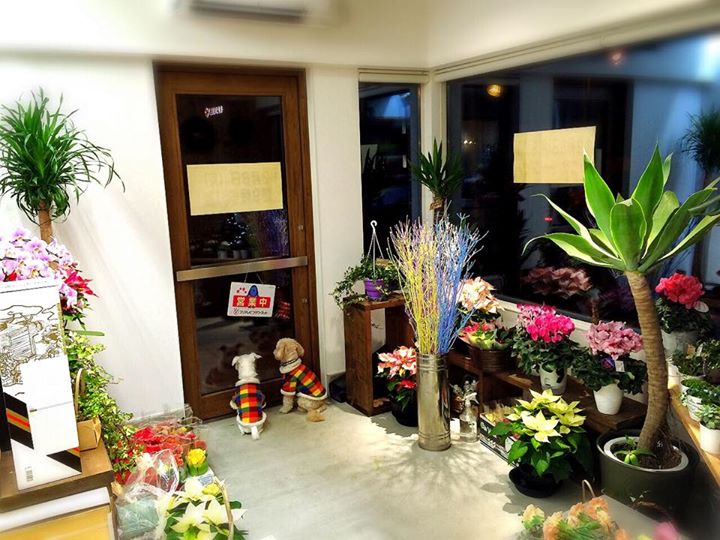 08f512ed0f6ea4ae3fdc